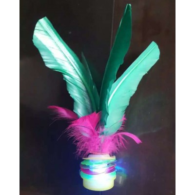 Eco-friendly Light Up Kick Shuttlecock Colorful Feather LED Chinese Jianzi