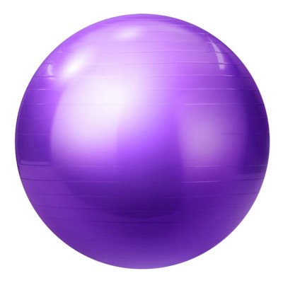 55cm Wholesale inflatable PVC gym ball exercise ball soft yoga ball for body fitness